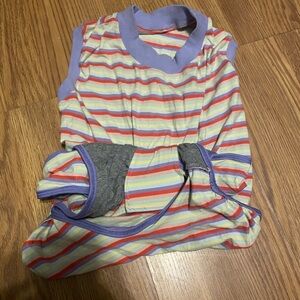 Colorful Striped Dog recovery suit